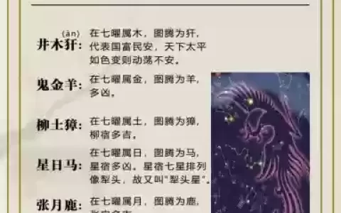 梦幻西游星宿怎么读_1
