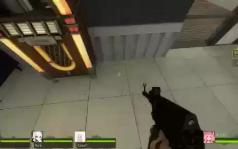 求生之路2拿多武器_1