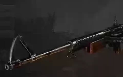 使命召唤14治的武器_1