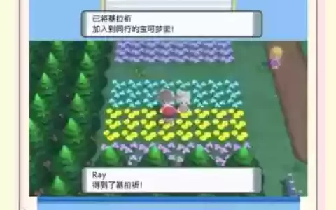 口袋珍珠攻略二周目_1