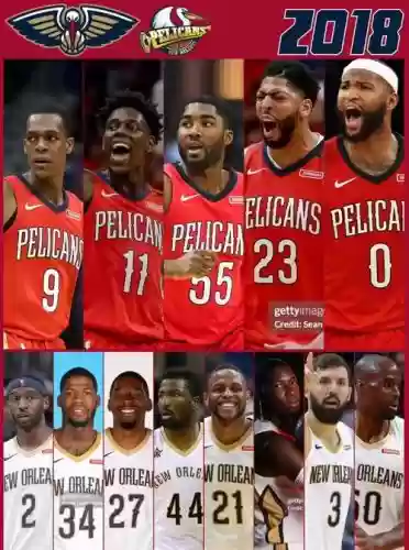 鹈鹕现阵容_1插图1