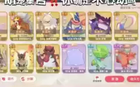 口袋觉醒黑龙最佳搭配阵容