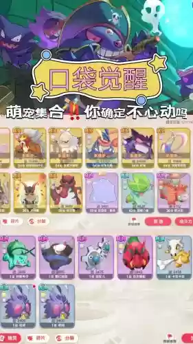 口袋觉醒黑龙最佳搭配阵容插图 口袋觉醒黑龙最佳搭配阵容插图