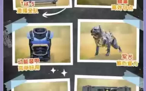 codol技能重装