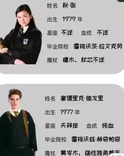 哈利波特人物阵容搭配推荐，哈利波特角色选择插图