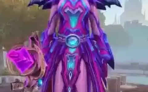 魔兽随从紫色装备吗，魔兽世界905随从