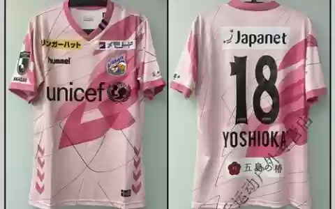 2019长崎航海阵容搭配，长崎航海2017 球衣