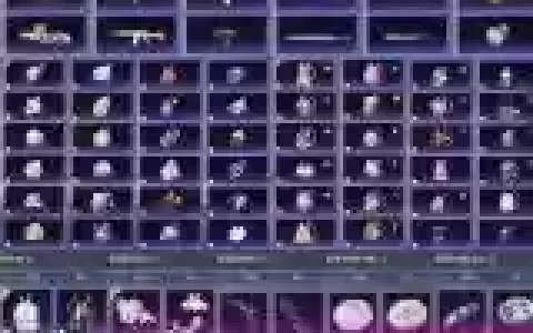 卖独特装备，能卖装备的端游