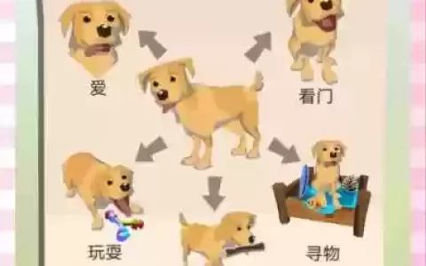 边境之旅狗技能有用吗，边境之旅 狗狗