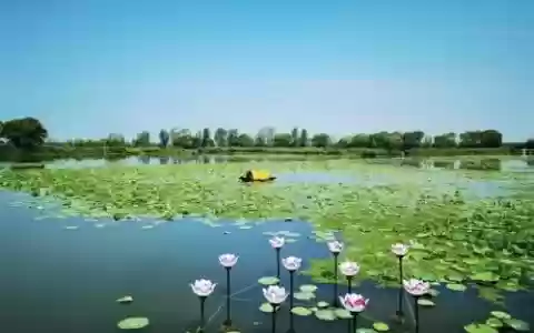 3微山书院攻略，微山书院老二