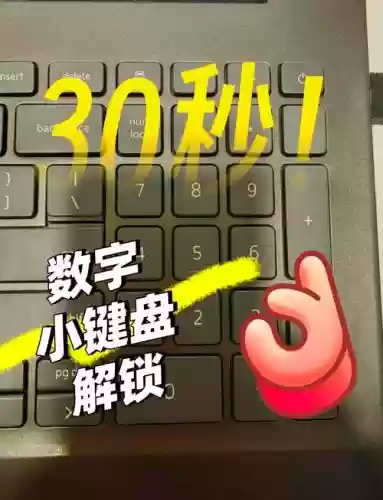 小键盘录入技能，小键盘数字录入技能训练插图