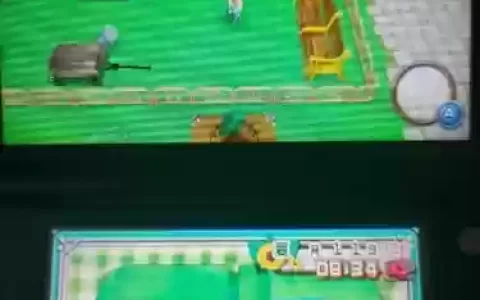 3ds牧场物语起源攻略，牧场物语起源的大地建筑摆放