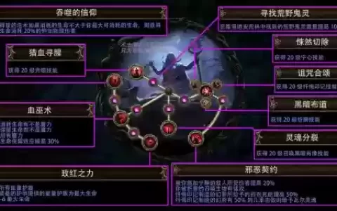 流放之路冠军那什么武器，流放之路冠军是什么职业升华