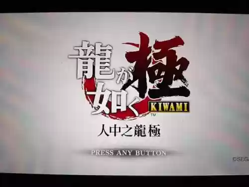 如龙极先升级哪些技能，如龙极前期加点插图1