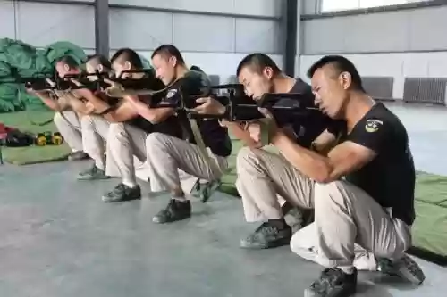 保镖能带什么武器，保镖的武器装备插图