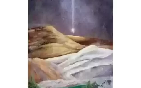 追光者2森林攻略8，追光者2电影