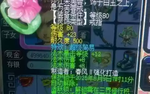梦幻西游最贵戒指多少钱一个，梦幻西游戒指打什么宝石
