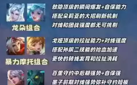 王者20星双射手阵容搭配，王者荣耀 双射手