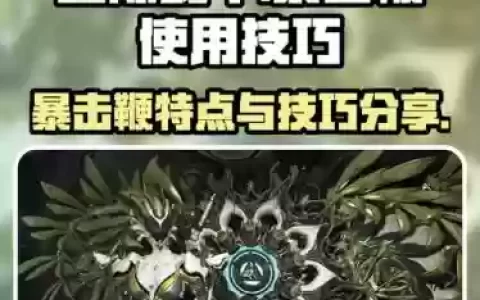 星际战甲新手高伤害武器，星际战甲哪把武器输出好