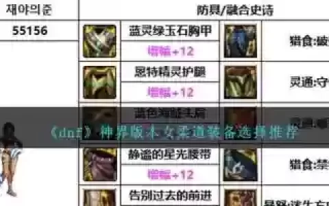 dnf女柔道90武器哪个好，dnf100版本女柔道毕业武器哪个强