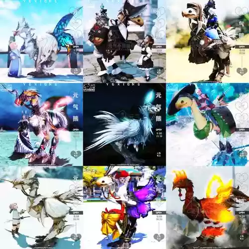 ff14陆行鸟装备在哪买，ff14陆行鸟装甲在哪买插图1