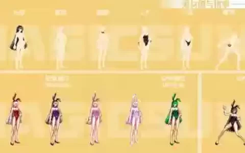 女圣职者推荐装备，女圣职者堆什么