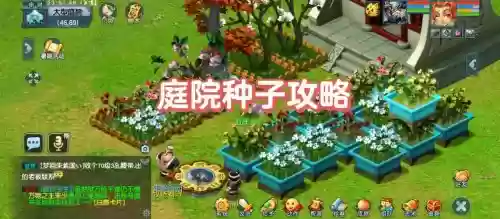 梦幻西游庭院怎么去，梦幻西游庭院攻略2021插图1
