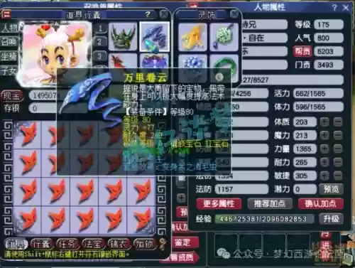 梦幻西游高级力五庄加点，梦幻西游端游力五庄怎么加点插图1