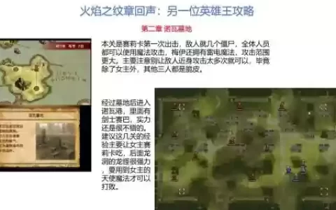 火焰纹章回声支线攻略，火焰纹章回声全道具用途