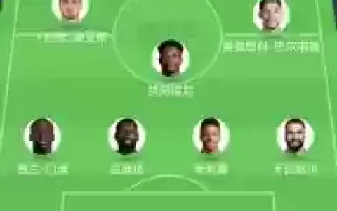 双后腰有哪些阵容可以搭配，双后腰和单后腰阵型