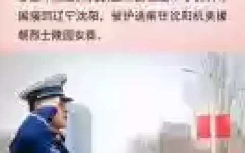送英雄回家阵容搭配，送英雄回家句子