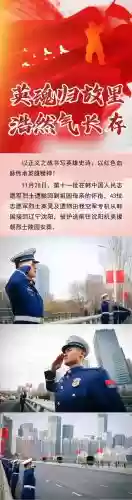 送英雄回家阵容搭配，送英雄回家句子插图