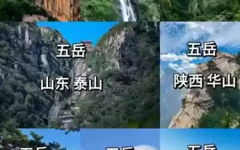 五岳阵容有谁可以搭配，五岳阵容有谁可以搭配的