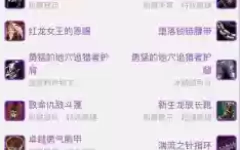 adl猎人的装备ro手游，ro adl猎人装备