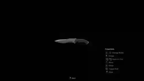 wii生化危机4武器，ngc生化危机4武器插图1