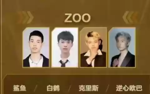 鲨鱼阵容搭配，鲨鱼怎么搭配