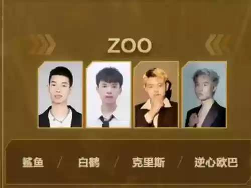 鲨鱼阵容搭配，鲨鱼怎么搭配插图