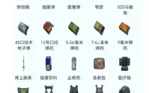 刺激战场上所有的武器，刺激战场里的武器