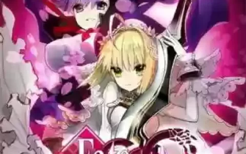 fgofateccc攻略，fgo攻略视频