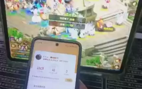 怎么看梦幻西游里有没有充钱，梦幻西游在哪里看有没有充钱