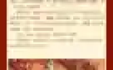 李世民搭配阵容推荐，李世民配什么装备