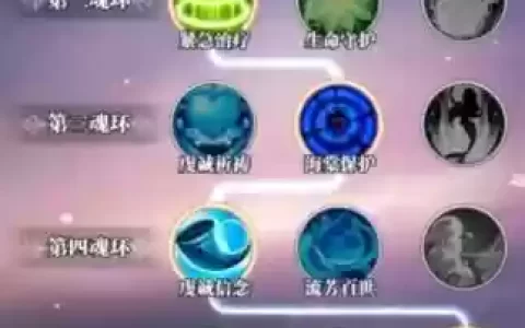 海棠阵容搭配，海棠搭配什么魂环好