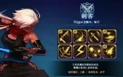 dnf刺客带什么暴击技能，dnf刺客打什么属强2020