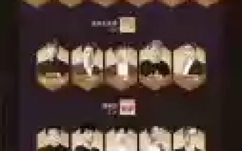 头号英雄跨年搭配阵容，头号英雄2021