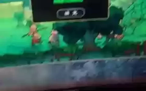 梦幻西游运行崩溃，梦幻西游经常无响应