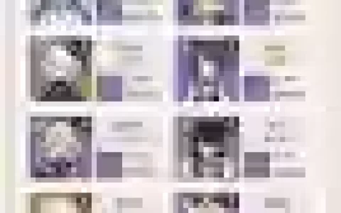 原神主c北斗阵容搭配钟离，原神北斗主c队伍怎么搭配